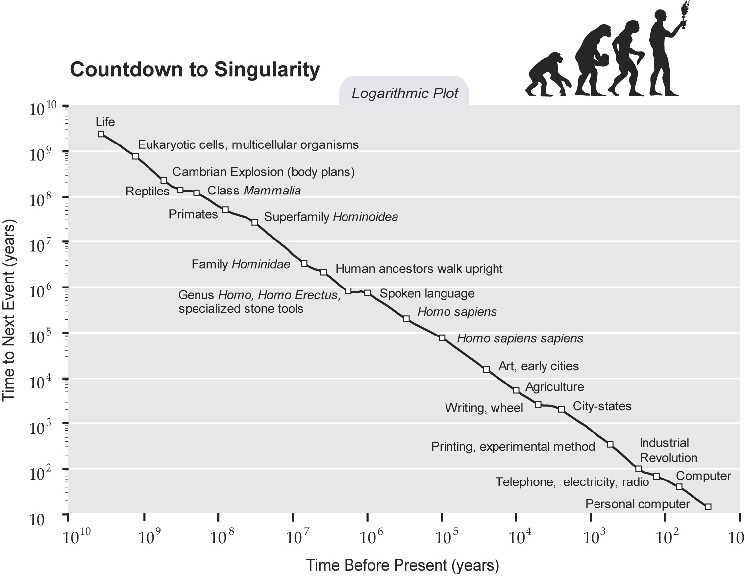Human Evolution Time Chart