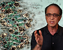 Ray Kurzweil